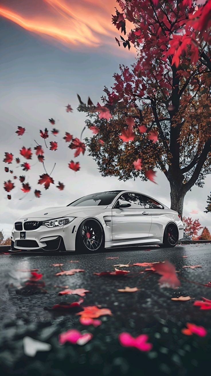 bmw wallpaper 26 bmw wallpaper 26